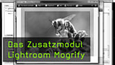Lightroom, Plugin, Zusatzmodul, Rahmen, Wasserzeichen