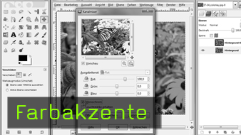 Bernhard Stockmann, Gimp Tutorial, digitale Bildbearbeitung Bernhard Stockmann, Gimp Tutorial, digitale Bildbearbeitung