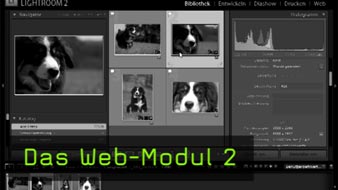 Web-Modul, Lightroom, Flashgalerie, Webgalerie, Webengines Web-Modul, Lightroom, Flashgalerie, Webgalerie, Webengines