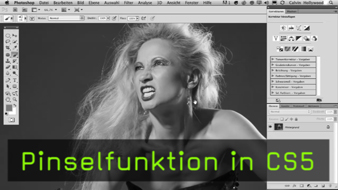 1319-calvin-pinsel-in-cs5-teaser-g.jpg