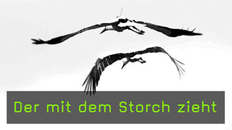 storch-naturfotografie