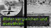 Apple Aperture 3, Bilder vergleichen, Lupe Apple Aperture 3, Bilder vergleichen, Lupe