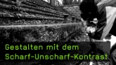 Scharf-Unscharf-Kontrast in der Fotografie