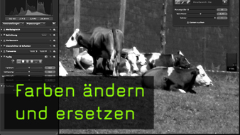 1487-aendern-ersetzen-teaser-g.jpg