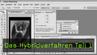 150-hybridverfahren1-neu.jpg 150-hybridverfahren1-neu.jpg