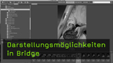 Einführung in Bridge, Bridge für Anfänger