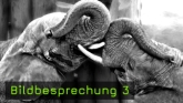 Bildbesprechung 3