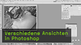 Vollbildmodus in Photoshop, Fensteransicht