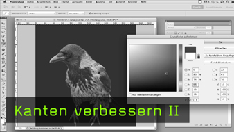 1591-pavel-05-05-big-teaser.jpg