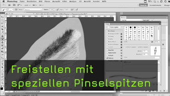1591-pavel-05-09-big-teaser.jpg