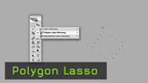161_Polygon_Lasso.jpg