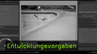 Entwicklungsvorgaben Entwicklungsvorgaben