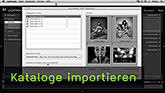 Kataloge importieren