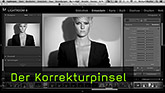 Korrekturpinsel in Lightroom