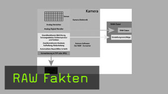 230_RAWFakten.jpg 230_RAWFakten.jpg