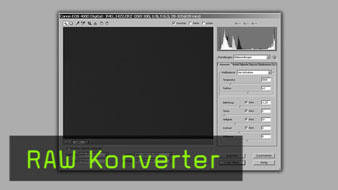 231_RAWKonverter.jpg 231_RAWKonverter.jpg