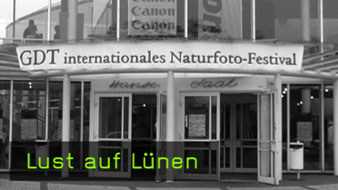 305_luenen_338x190.jpg