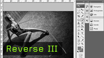 478-Reverse3-teaser-gross.jpg 478-Reverse3-teaser-gross.jpg
