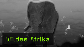 naturfotografie-wildes-afrika-fotoreise naturfotografie-wildes-afrika-fotoreise