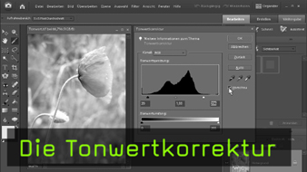 608-Tonwertkorrektur-teaser-gross.jpg