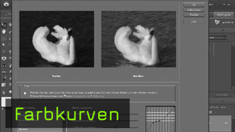 609-Farbkurven-teaser-gross.jpg