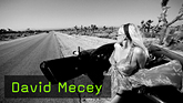 David Mecey Playboy Fotograf