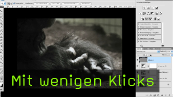 Calvin Hollywood Photoshop Bildoptimierung Calvin Hollywood Photoshop Bildoptimierung