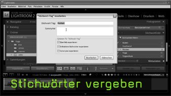 Stichwörter Metadaten Lightroom