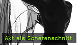 Aktfotografie Silhouette Lichtaufbau