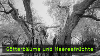 Christian von Alvensleben Fotografie Fotograf Interview