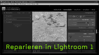Reparaturwerkzeug Lightroom Reparaturwerkzeug Lightroom