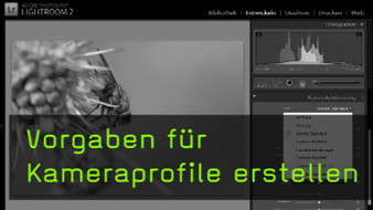 Kameraprofile, Kamerakalibrierung, Weißabgleich, Lightroom