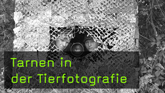 Tarnen, Ansitzfotografie, Tarnzelt, Tarnanzug, Tierfotografie