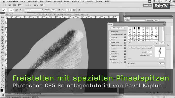 Video Freistellen Mit Speziellen Pinselspitzen In Photoshop Cs 5 Lernen