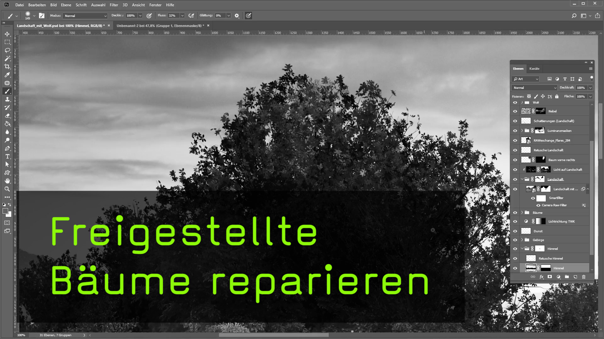Video Anwendungszwecke Fur Den Baumfilter In Photoshop