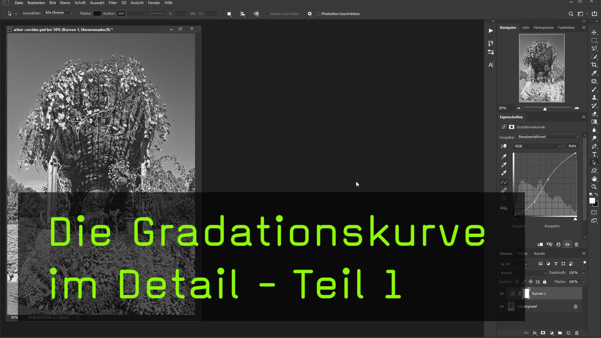 Video Die Funktionen der Gradationskurve verstehen lernen