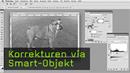 Korrekturen via Smart-Objekt Korrekturen via Smart-Objekt