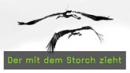 storch-naturfotografie