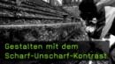 Scharf-Unscharf-Kontrast in der Fotografie Scharf-Unscharf-Kontrast in der Fotografie