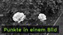 Bildgestaltung mit Punkten Bildgestaltung mit Punkten