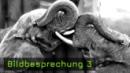 Bildbesprechung 3