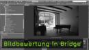 Bildbewertung in Bridge