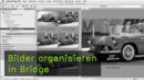 Bilder organisieren in Bridge