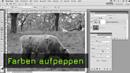Farbsättigung erhöhen