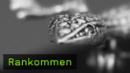 207-rankommen-teaser-k.jpg 207-rankommen-teaser-k.jpg