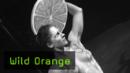 364-wildorange-teaser165x93.jpg