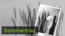 369-teaser-kl.jpg