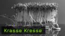 395-table1-teaser-K.jpg