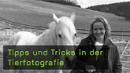ruth-marcus-tierfotografie-naturfotografie ruth-marcus-tierfotografie-naturfotografie