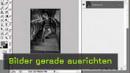 442-teaser-klein.jpg 442-teaser-klein.jpg
